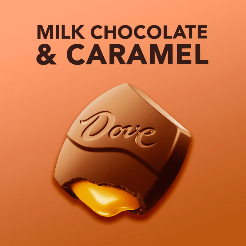 DOVE Large PROMISES Milk Chocolate & Caramel, 2.75oz